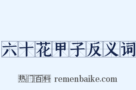 六十花甲子反义词是什么意思的图片